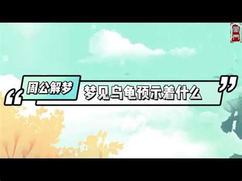 夢見ㄨ龜|夢見龜